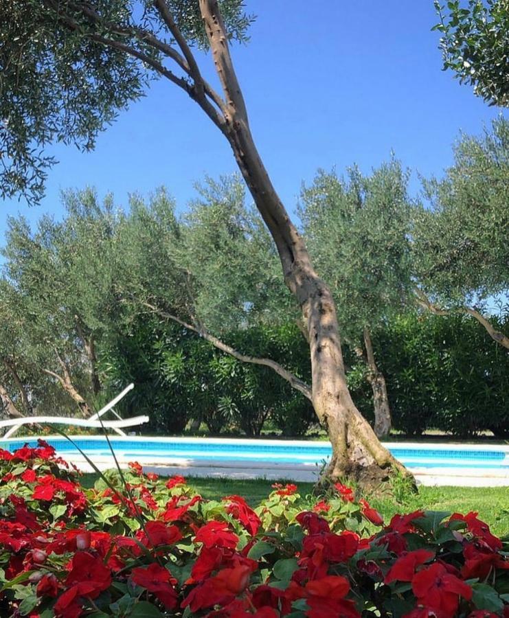 Villa Tamaris Makarska Exterior foto